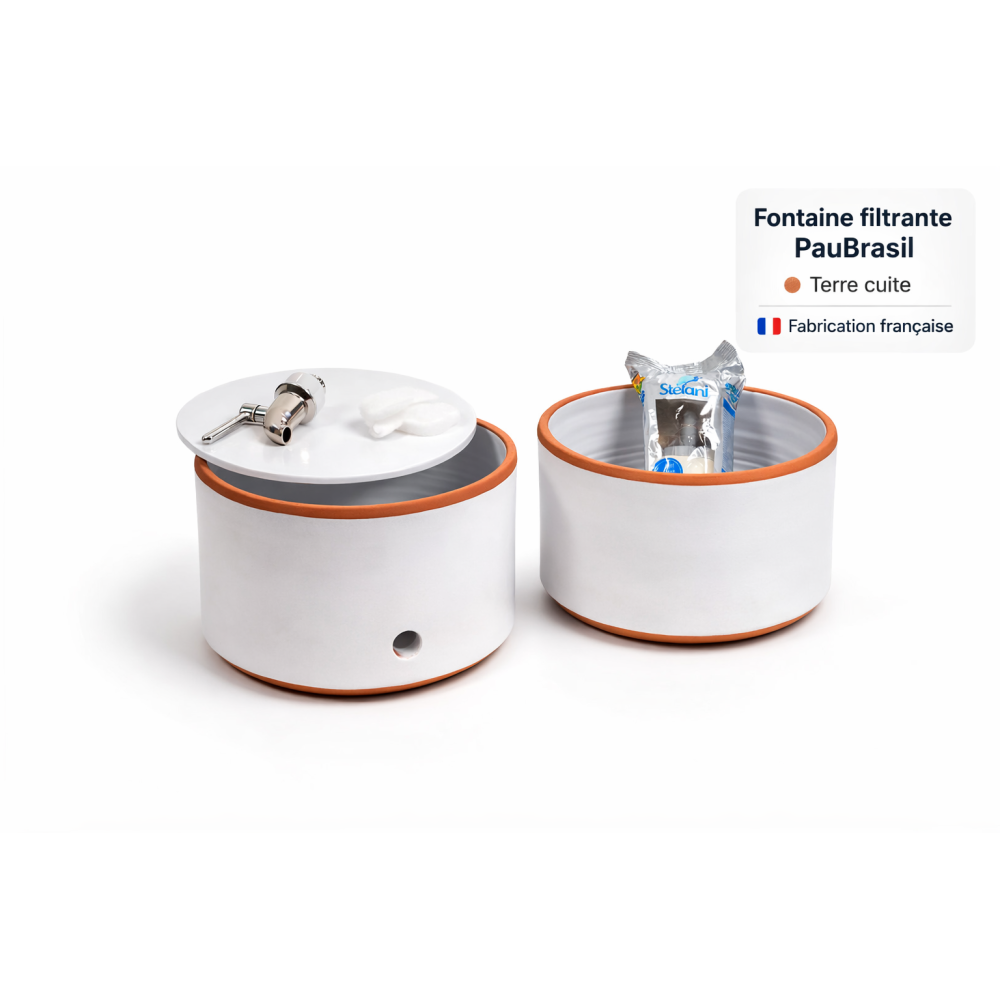 Filtre à eau PAUBRASIL 5L terre cuite émaillée blanche