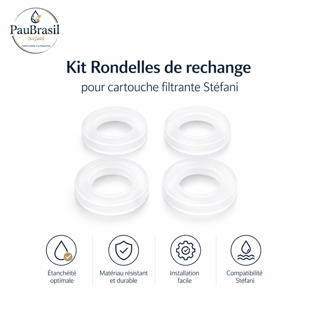 Joints pour cartouche filtrante - lot de 4